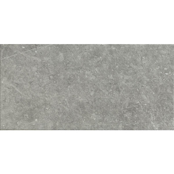 Mystone Bluestone20 - Grigio  Terrassenfliese  50x100cm  20mm