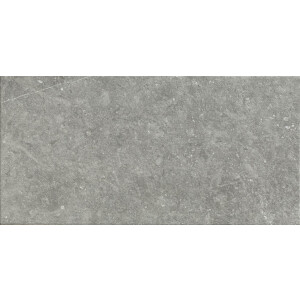 Mystone Bluestone20 - Grigio  Terrassenfliese  50x100cm...