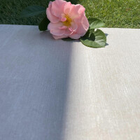 Reside Beige -  Boden- und Wandfliese - 30x60cm  9mm