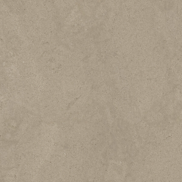 Dusttaupe