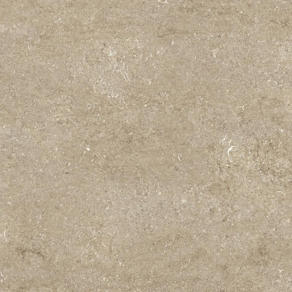 Fossiltaupe